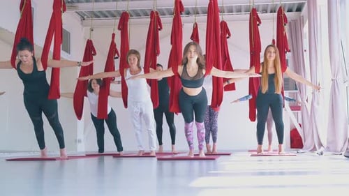 Young Ladies Practice Pilates and Show Mountain Yoga Asana