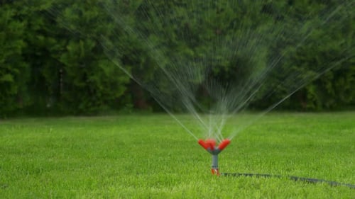 Lawn Sprinkler Waters Pristine Green Grass on Sunny Day