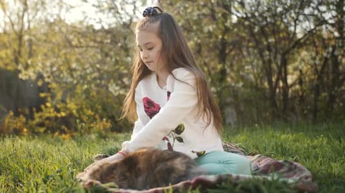 Little Girl on a Green Lawn Playing with a Brown Rabbit