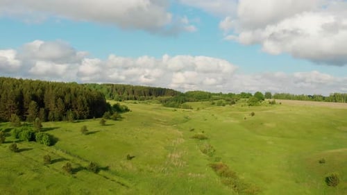 Green Open Field and Forest - Blue Sky with Clouds
