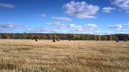 Mouvement aérien au-dessus de balles éparses sur un champ contre une forêt