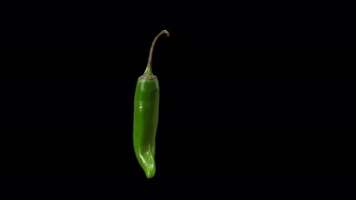 Realistic Green Chili With Alpha Channel