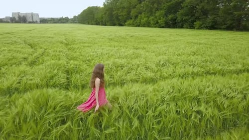 A woman in red dress walking in green wheat field