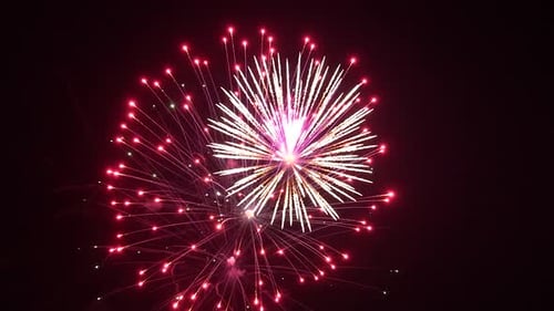 Fireworks 13