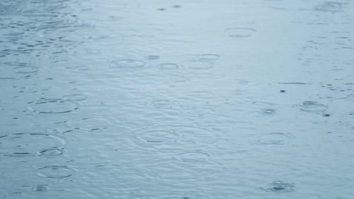 Rains