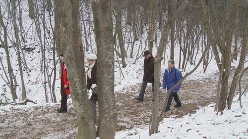 People Walking in Snowy Forest in Winter