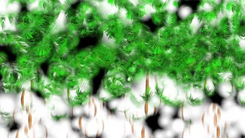 Abstract Green Palm Tree Foliage Fluid Animation Background