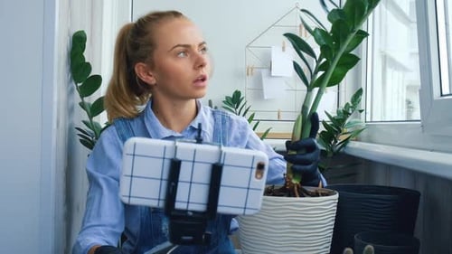 Woman Planting Potting Plant Indoors, Speaking to Camera