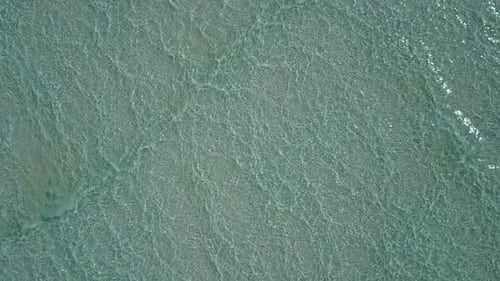 Warm sky of marine shore beach by sea and sand background near palms
