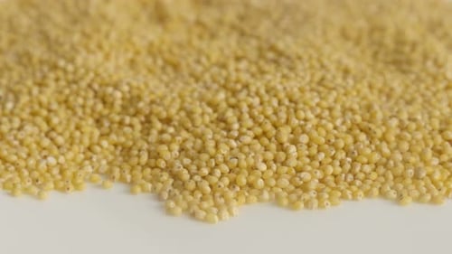 Lenta inclinación sobre los frijoles amarillos de las imágenes UltraHD de Panicum miliaceum 4K 2160p a 30 fps: popular molino de Proso