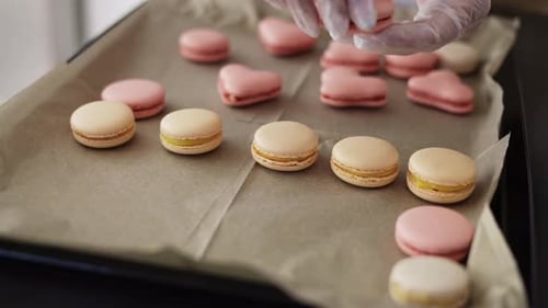 Female Hands Putting Filled Macaroons in a Tray