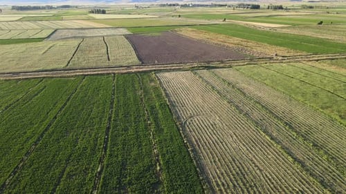 Luftaufnahme: Ackerland, Natur