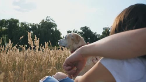 Young Couple Sitting on Grass at Meadow and Stroking His Labrador