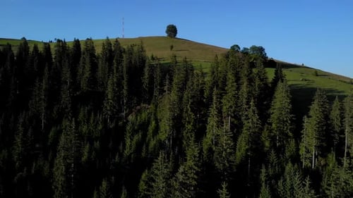 Beautiful Landscape with Mountains Slopes and Forests