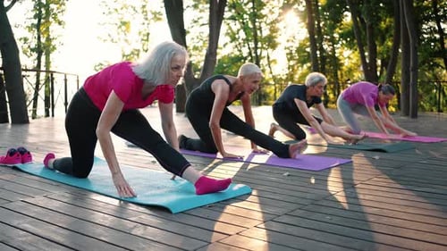 Group of Active Mature Women Training Together in Park Making Stretching Exercises on Fitness Mats