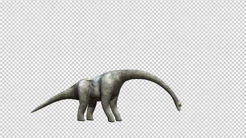 3D Brachiosaurus Dinosaur Grazing Animation with Alpha Channel