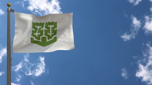 Realistic Waving Flag with Custom Logo