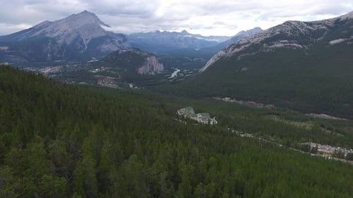 Forest and mountains