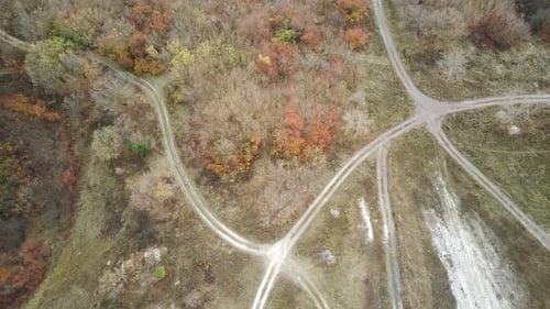 Aerial View of Path in Countryside