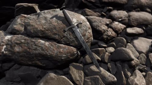 Old Dagger on the Rock at Sunset