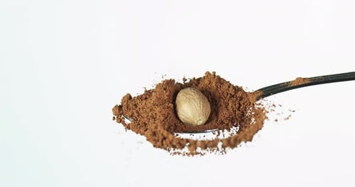 Hazelnut Falling Into Cocoa Powder on Spoon