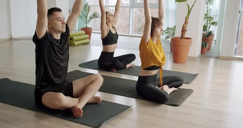 People Stretching Upward in Yoga Class