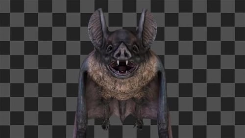 Flying Bat Nahaufnahme Loop