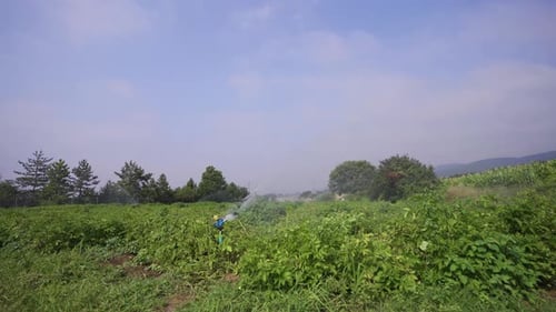 Field irrigation system.