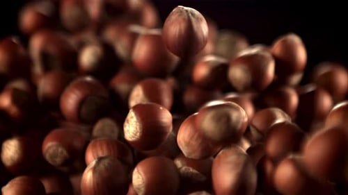 Super Slow Motion Hazelnuts Rise Up and Fall Down