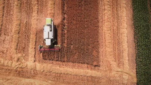 Vista superior del tractor agrícola que cosecha granos de trigo maduros