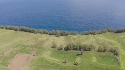 Green Valley In Hawaii