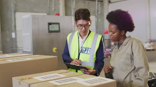 Diverse male and female workers with clipboard and boxes in warehouse