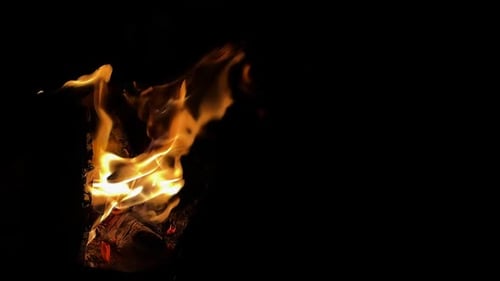 Burning Fire on Black Background