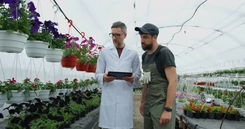 Scientists walk through greenhouse of flowers
