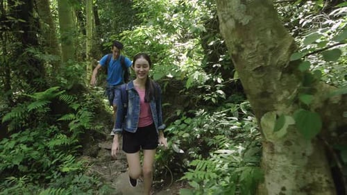 People Hike through Tropical Forest during Daytime