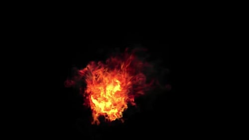 Fire Loop