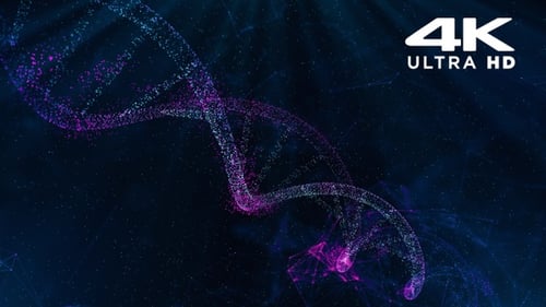 DNA - Particles