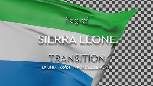 Waving Flag Seamless Transition Reveal