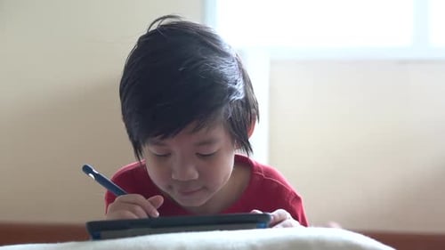 Young Boy Using Tablet and Stylus Indoors