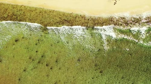Aerial top view travel of tropical sea view beach adventure by aqua blue water with white sand backg