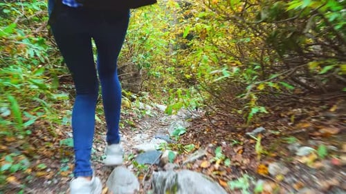Woman Hiker Walking Through Forest on Rocky Trail