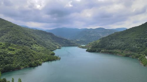 aerial river forest