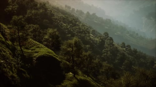 Autumn Morning with Fog in Mountains