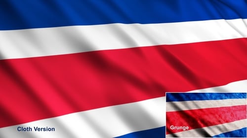 Fluid Flag Waving Animation with Modern and Distressed Textures