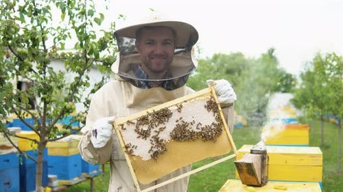 A Man in a Protective Suit and Hat Holds a Frame with Honeycombs of Bees in the Garden
