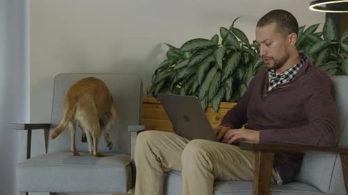 Man Working at Home with Dog Jumping on Chair
