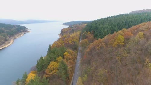 Aerial View of Beautiful Mixed Forest in Autumn Colors. Asphalt Road Crossing the Forest