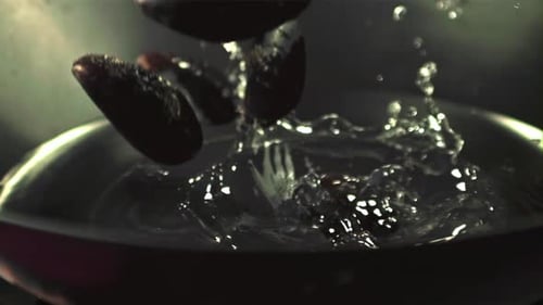 Mussels Dropping into Water in Slow Motion