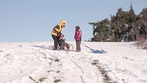 inverno, trenó na neve, ladeira abaixo, crianças e mãe com trenó na neve se divertindo muito