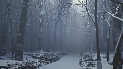Allée forestière dans un épais brouillard. Arbres nus en hiver. Paysage sombre et maussade
.